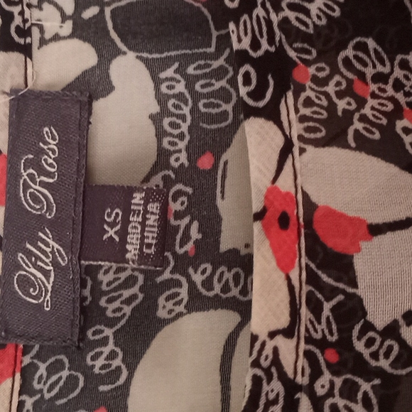 Lily Rose Delicate Blouse - Picture 5 of 7